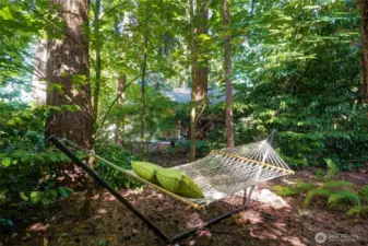 Forest Bathing is a real thing. orest bathing, also known as shinrin-yoku, is a Japanese practice that involves immersing oneself in the atmosphere of  forest or natural environment to promote well-being. It's not about physical bathing, but rather engaging all five senses to connect with nature and experience its calming and restorative effects.