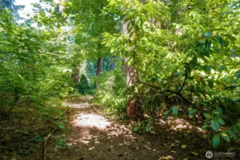 Follow the sun lit trail.  This backyard is self sustaining.  You don't have to water here, just enjoy.