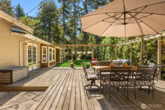 Just look how quiet and sunny this yard is!