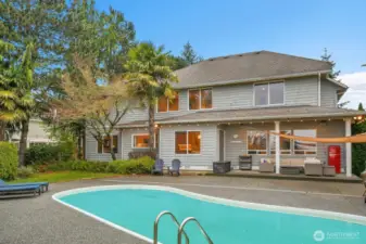 In ground pool in private backyard with covered patio