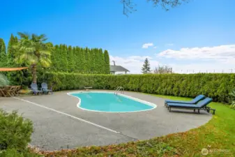 In ground pool in private backyard with slough views