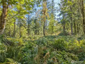 view of lot standing in the middle.