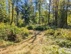 Lot has a lot of flat areas