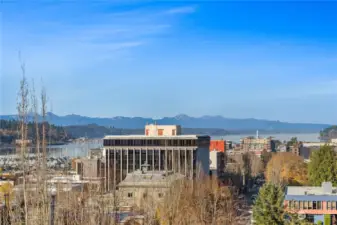 Live your best life in this urban chic condo on the top floor of the Union Heights building with majestic views of the Olympics and Puget Sound.