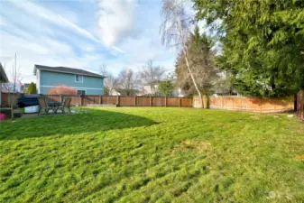 Huge level backyard- raised beds and raspberries!