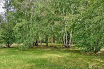 An abundance of tress makes you feel at home in nature.