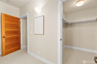 The primary bedroom features a spacious walk-in closet, offering ample storage.