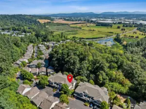 Fantastic siting for this community, tucked in the middle of a mini forest, for beauty, peace & quiet!