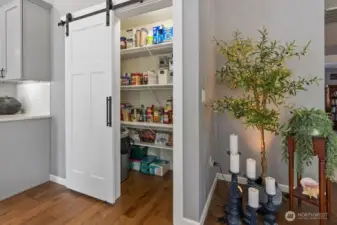 Walk in Pantry