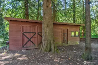 Good sized shed for garden tools, pellets, etc.