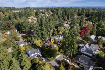 A short walk to town