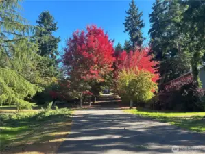 Lovely Janelle Place NW