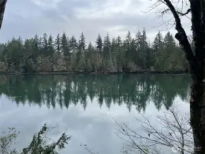 Easy access to Little Skookum Inlet and it's fertile clam and oyster beds.