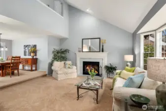 Light filled vaulted ceiling living room
