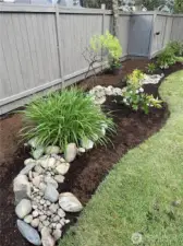 Another summer garden picture