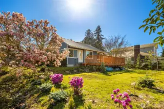 Welcome home to this 1944 charmer on a beautiful corner lot with gorgeous flowering trees.