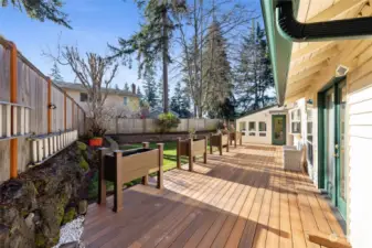 Welcome to this beautifully maintained West Campus home! Backyard with Trex Deck, planters and natural gas line for BBQ hookup!