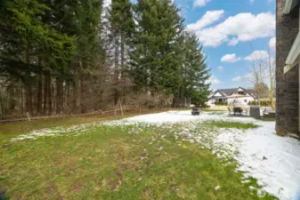 Looking toward the forested area to the north of the home.