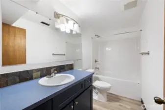 Lower Level Full Bath