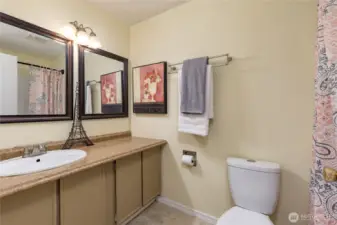 Full hall bathroom