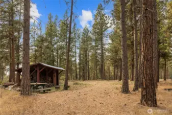 A shed on the property provides tool and wood storage.