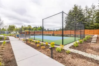 Community Pickleball Court