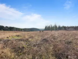 The back end of the property during the winter