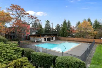 Enjoy this summer Pool Side!