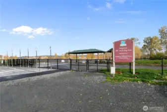 Magnuson Park and the Dog Off-Leash area is just across the street!