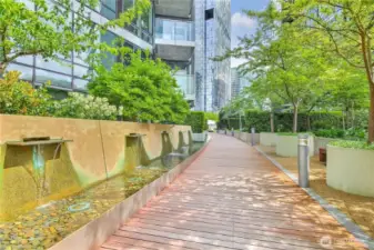 Waterfall features in urban garden