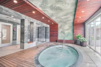 Spa with Jacuzzi, Sauna, Steam room & plunge pool
