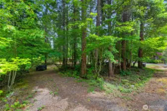Additional treed lot with separate driveway can be seen adjacent to home.