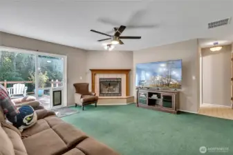 Lower family room
