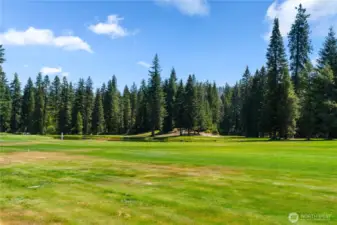 Golf course pond views