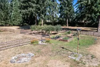 Garden space