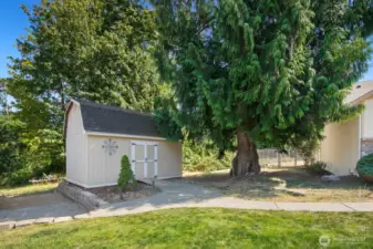 Large shed with tons of storage.
