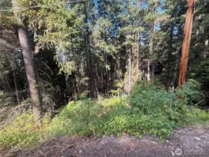 Sloped side off east side of property.