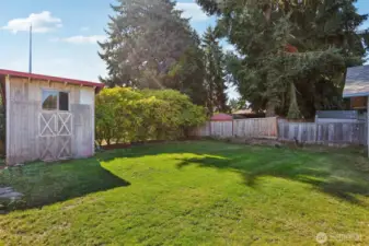 Backyard + Shed