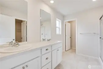 Primary Suite Bathroom with the Shower.