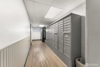 Common hallway and entry area with secure access and tasteful finishes.