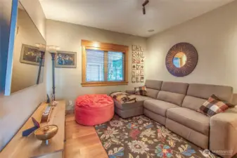 Media room / Flex space