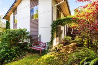 NW corner of the house