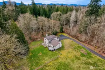 Mature trees frame the home with privacy and year-round beauty.