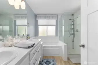 Primary ensuite spa-like bathroom