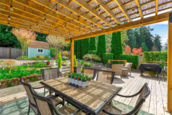 Entertainment sized gazebo and eating space