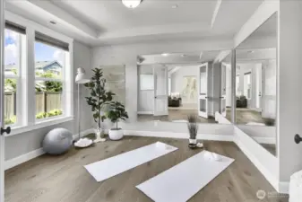 Den or Workout Room