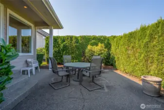 Back patio off kitchen