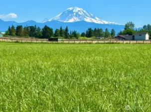 Here is your million dollar view!  They are not making these properties anymore!