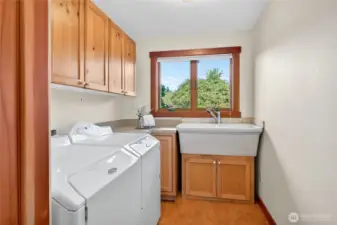 Laundry room with wash sink