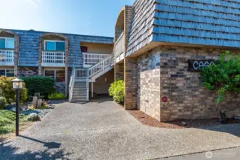 New Siding & Roof 2025